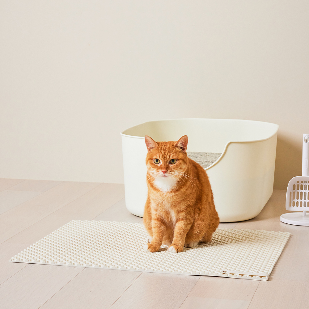 [못난이 상품] 고양이 모래매트 화장실 사막화 방지 M 제품 이미지