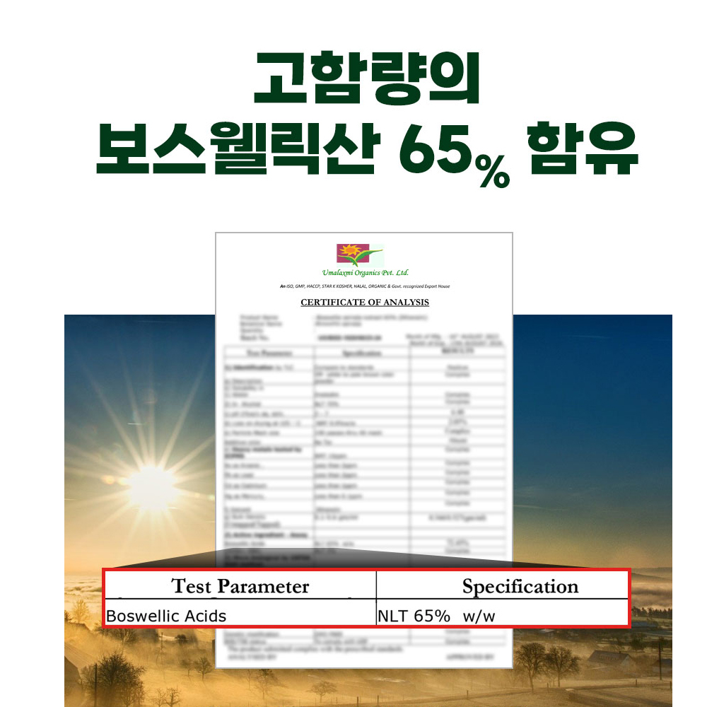 헬씨허그 초록입 보스웰리아100 보스웰릭산 AKBA+KBA 3,720mg 60정 2병 선물세트 - 상세 이미지 5