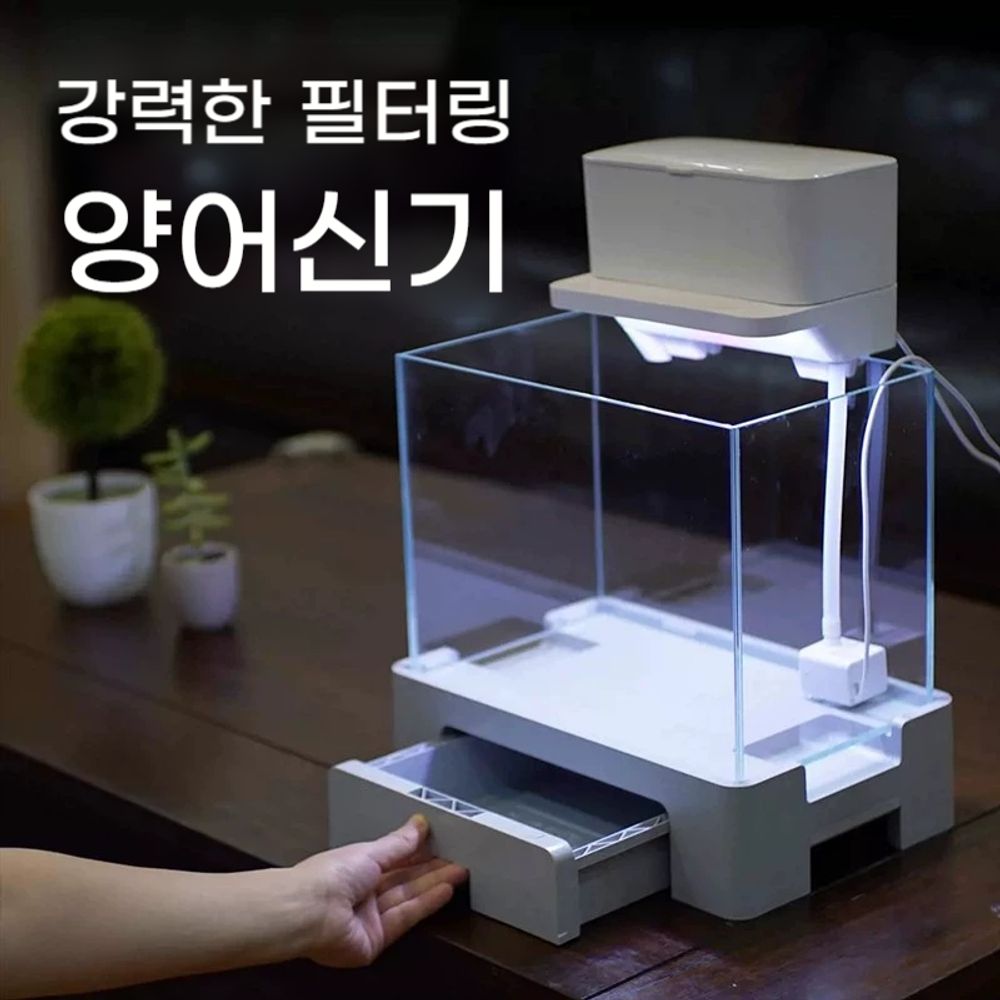 가정용 미니수족관 관상어 열대어 사육장 인테리어 해수 어항 usb 축양장 : 이니쇼핑몰
