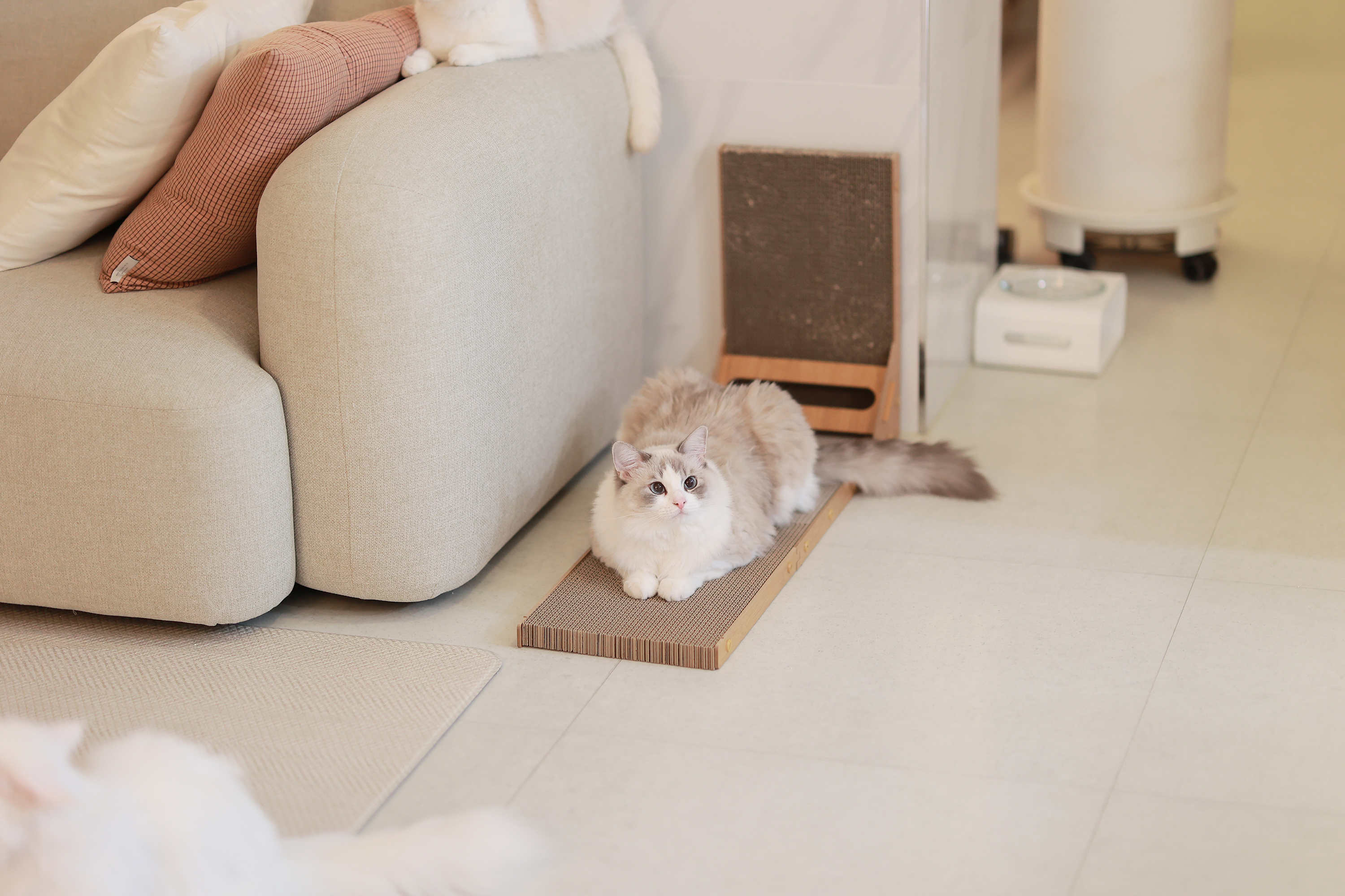 아토주 엘라인 고양이 수직 스크래쳐 83cm 화이트