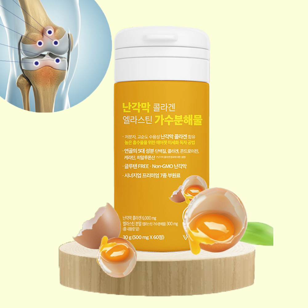 난각막 난간막 가수분해물 효능 저분자 콘드로이친 엘라스틴 수용성 2개월 60정 - 메인 이미지