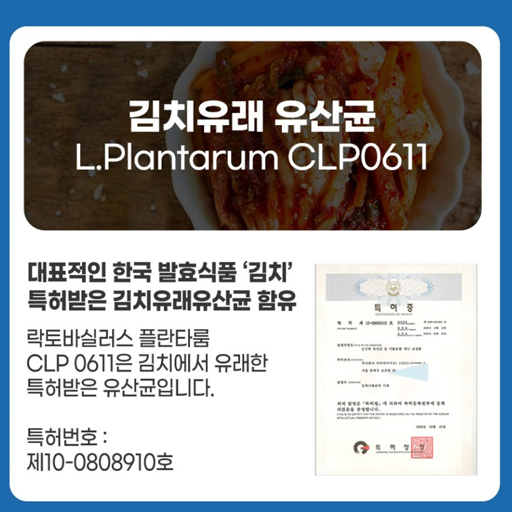 내츄럴플러스 유산균19 김치 모유유래 비피더스균 이미지 8