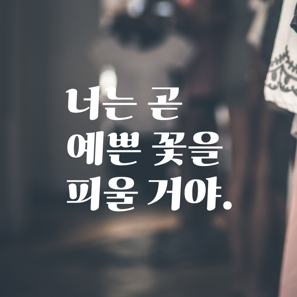 레트로 감성 레터링 스티커 너는 곧 예쁜 꽃을 피울 거야 검정 S - 상세 이미지 2