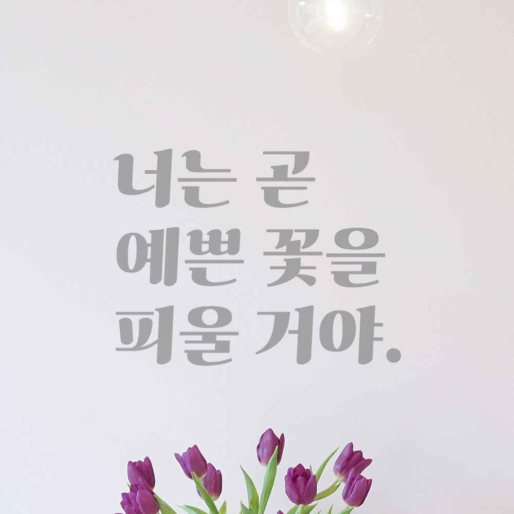 레트로 감성 레터링 스티커 너는 곧 예쁜 꽃을 피울 거야 검정S - 상세 이미지 3