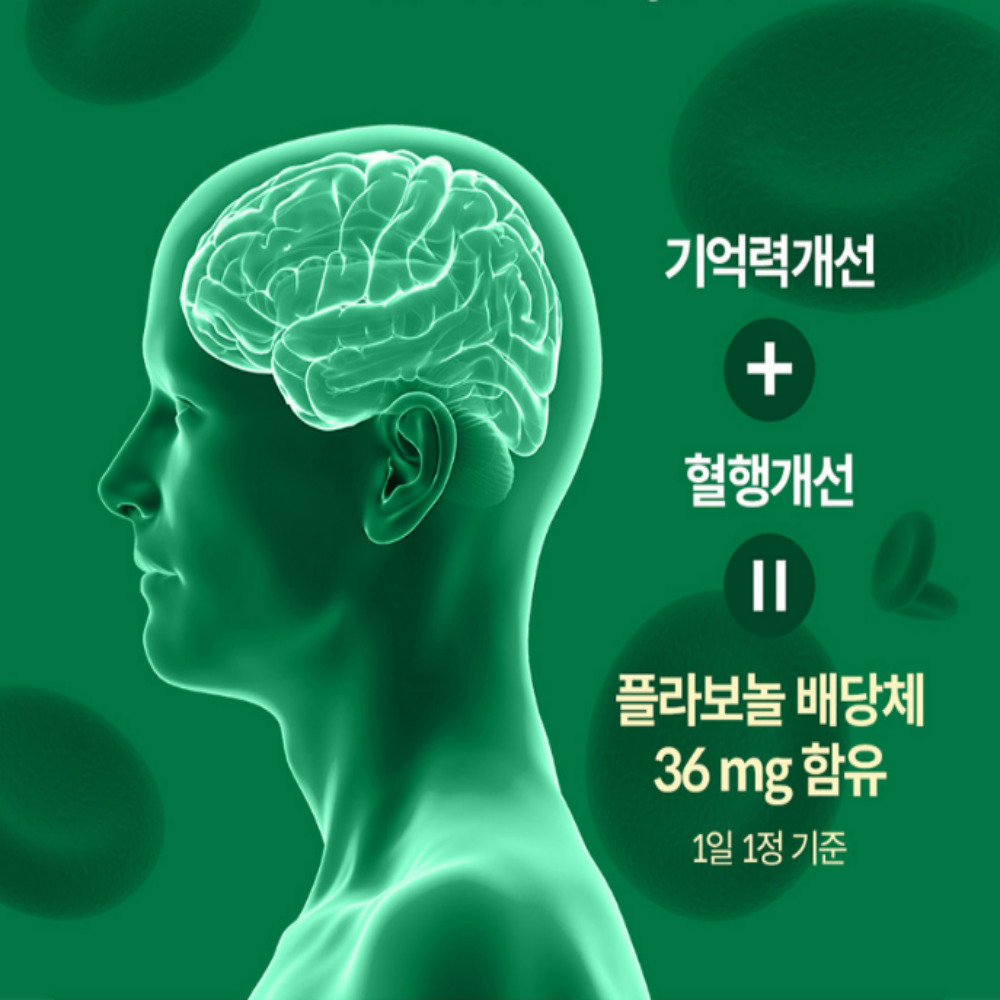 광동 은행잎추출물 혈행 기억력 징코 60정 3박스 - 상세 이미지 3