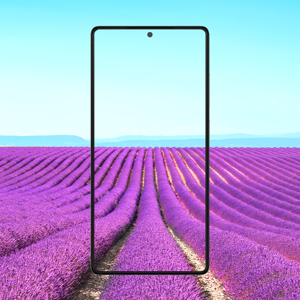 빅쏘 2.5CX 지문인식 강화유리 액정보호필름 갤럭시S25, 2매입