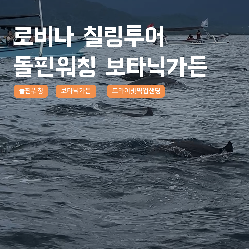 [발리] 로비나 돌핀와칭 칠링투어 브두굴 보타닉가든 돌고래 돌핀워칭 한국어가이드 북부