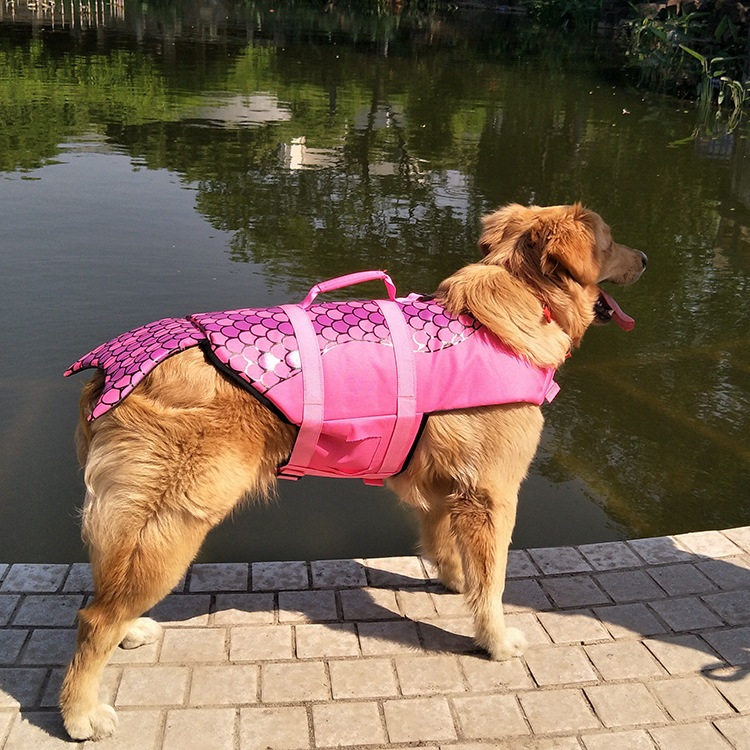 강아지 구명조끼 물놀이 애견 수영복 반려견 소형견 로즈레드 XS - 상세 이미지 3