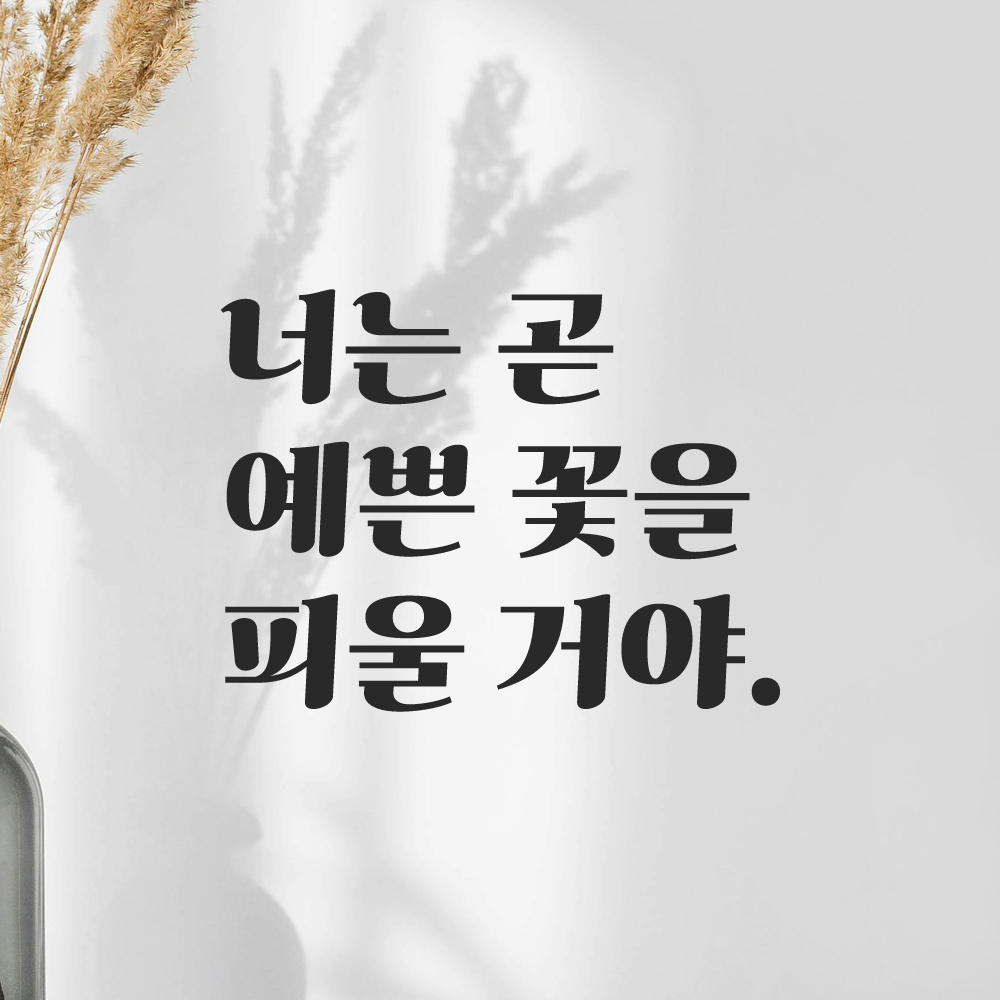레트로 감성 레터링 스티커 너는 곧 예쁜 꽃을 피울 거야 검정 S 이미지 6