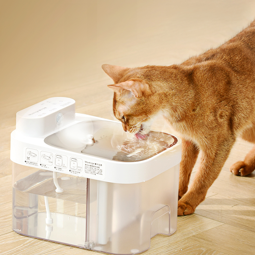 펫쭈 강아지 고양이 스마트 필터 없는 자동급수기 정수기 정오수 음수대