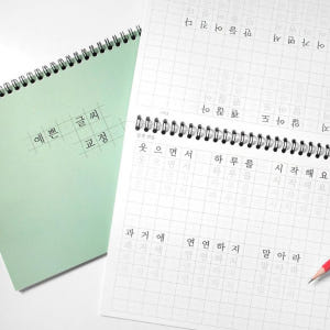 글씨체교정 글씨교정책 치매예방 펜글씨 교본 초등 필사 성인 한글 쓰기 실사용 후기 | 효과 있을까? - 상품 이미지 3