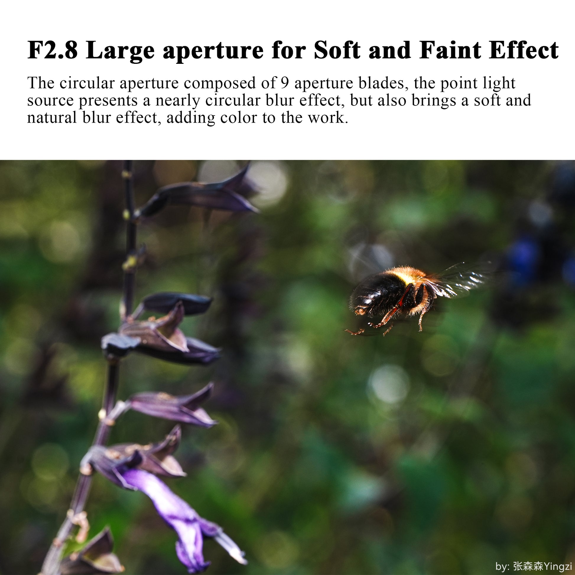 7장인 60mm f2.8 FF 2X 울트라 매크로 렌즈 소니E 캐논RF 니콘Z 이미지 8