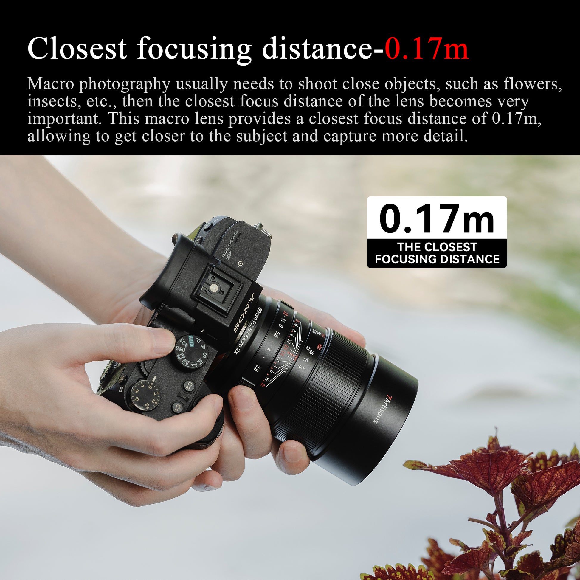 7장인 60mm f2.8 FF 2X 울트라 매크로 렌즈 소니E 캐논RF 니콘Z 이미지 7