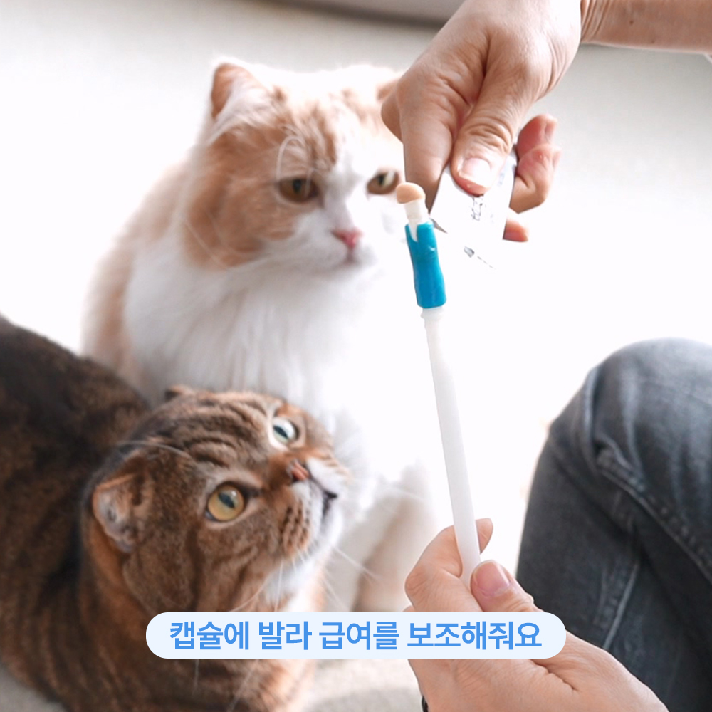 신부전고양이 신장 액상간식 인 0.06% 나트륨0.22% 피딩어시스트 닭고기, 10g, 30개