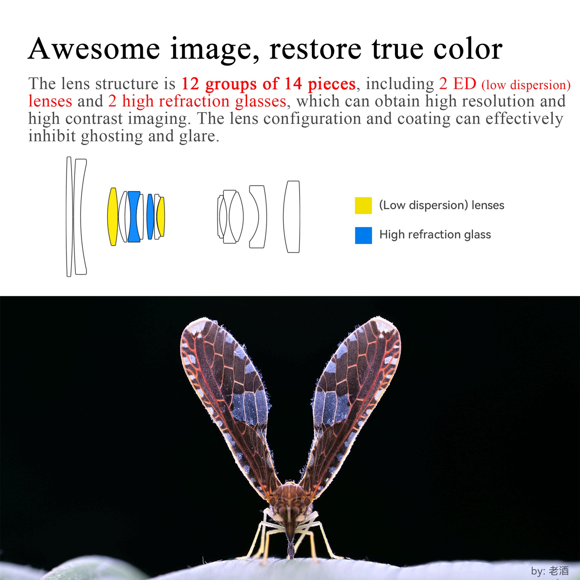 7장인 60mm f2.8 FF 2X 울트라 매크로 렌즈 소니E 캐논RF 니콘Z - 상세 이미지 4