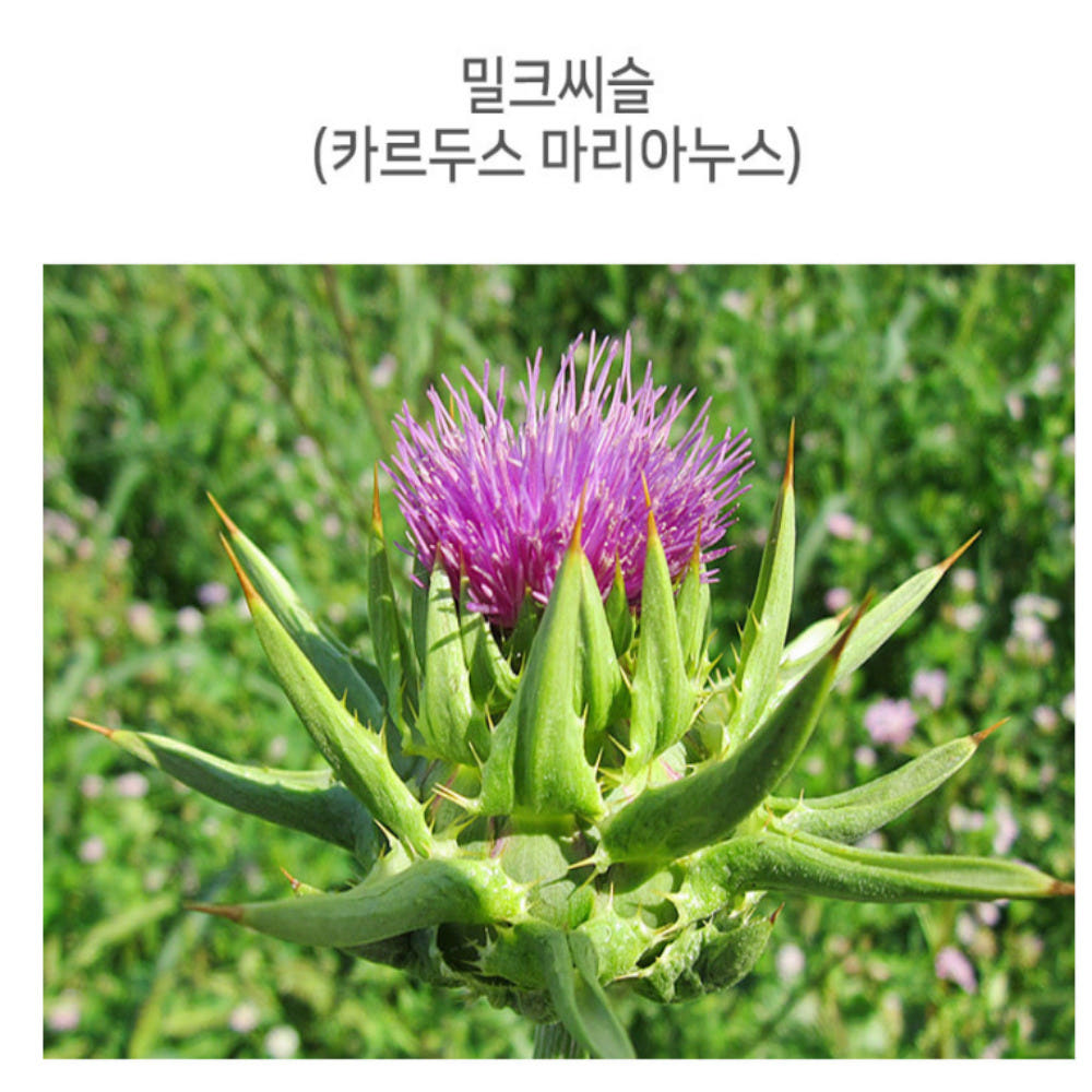 리뷰 분석 이미지 하단