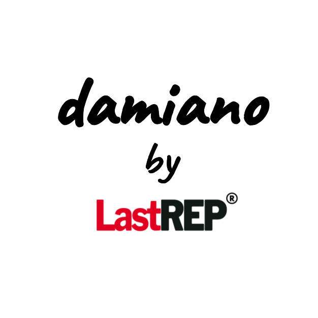 다미아노 스토어 로고