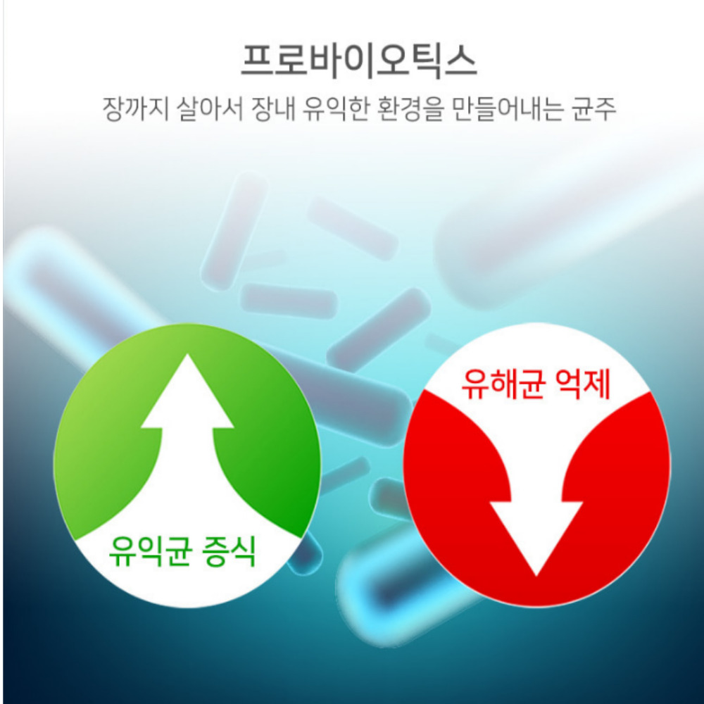 보령 간 유산균 간케어 간에좋은 450mg 60캡슐 - 상세 이미지 4