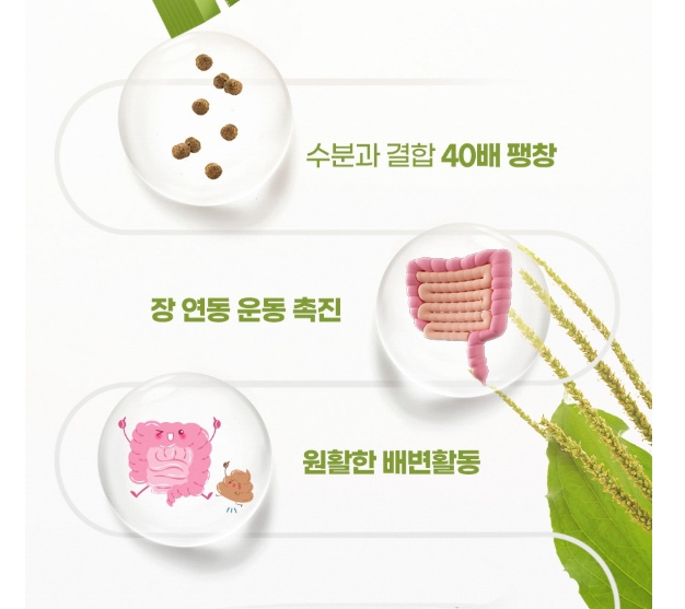 장쾌변 차전차피 환 30포 인도산 배변활동 장운동 식이섬유 차전자피 차전차 효능 이미지 7