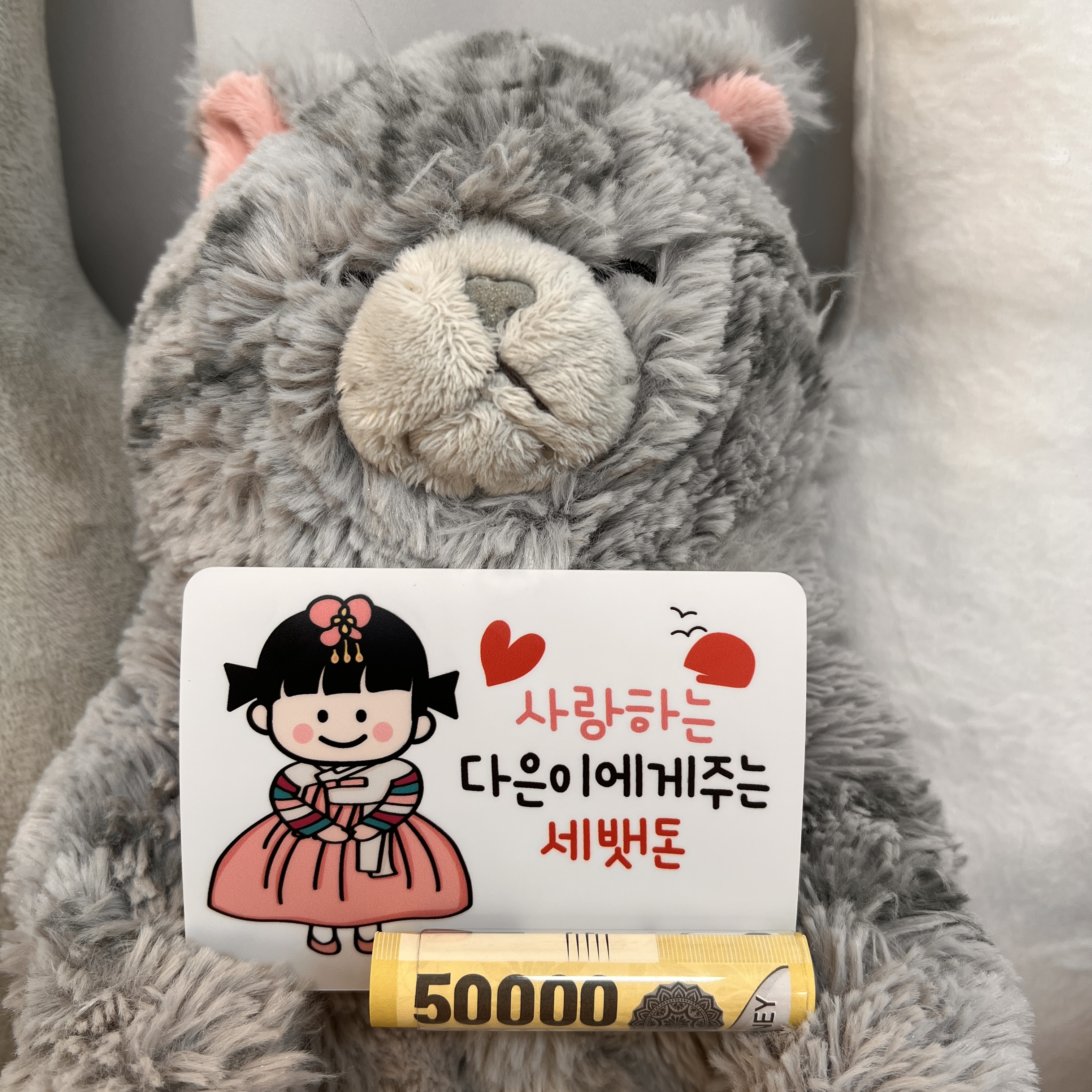 용돈 토퍼 카드 메세지 부모님 조카 설날 1남자아기 - 메인 이미지