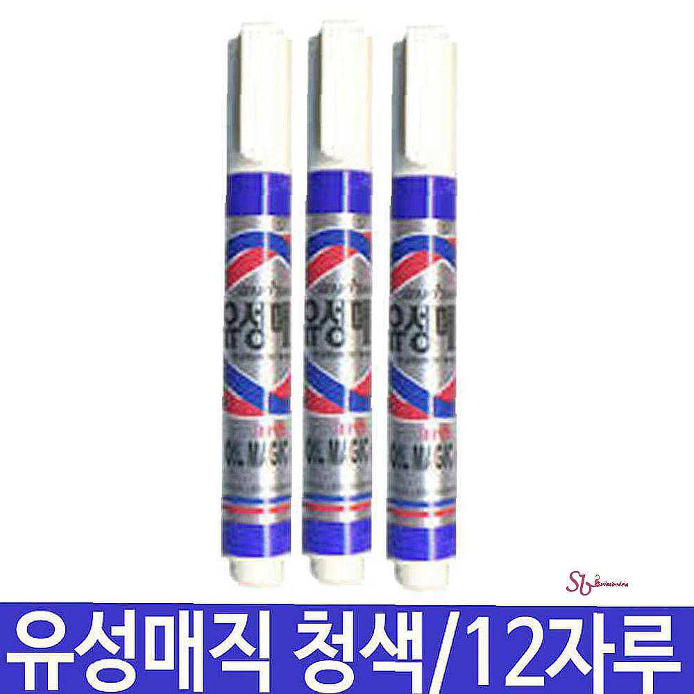 문화 700w 청색 1타 유성매직 12자루xyz417 : 셀러버디H