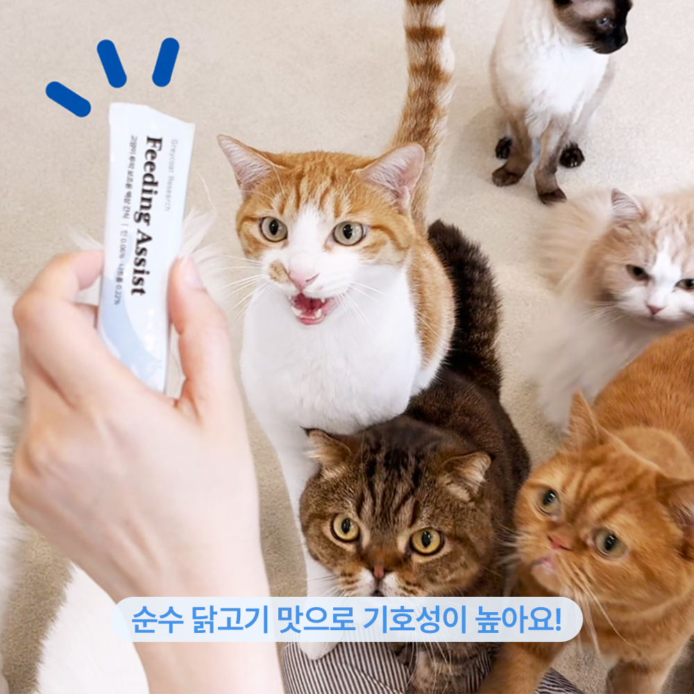 신부전고양이 신장 액상간식 인 0.06% 나트륨0.22% 피딩어시스트 닭고기, 10g, 30개