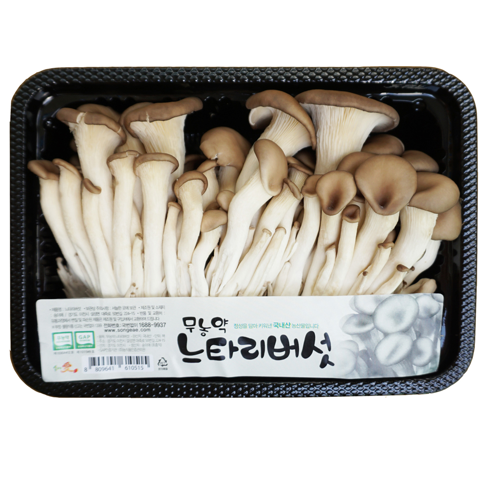그린팜 생 맛타리 애느타리 200g 1팩 : 아리랑마켓