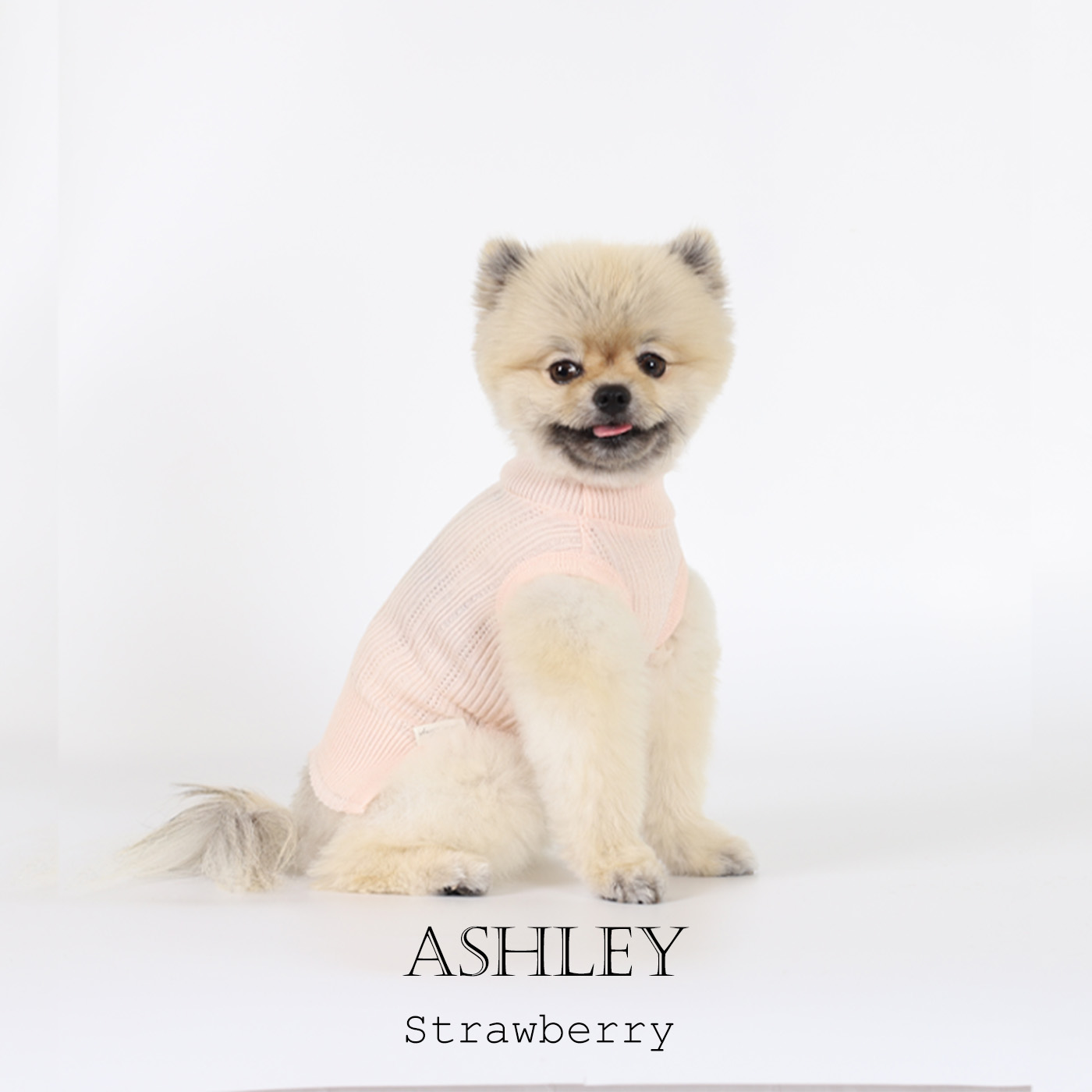 강아지옷 몽루 울니트 스칼랩 홀트넥 애슐리(ASHLEY) - 상세 이미지 2