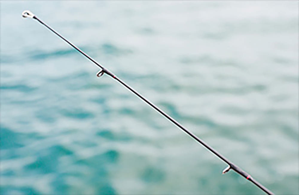 월하미인 MX 사용자 리뷰 이미지