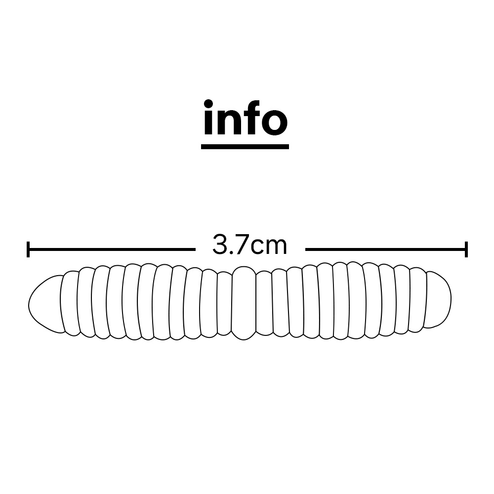 캣츠크로우 더블 마고트 송어웜 산천어 미끼 303 골드 차트, 3.7cm - 상세 이미지 2