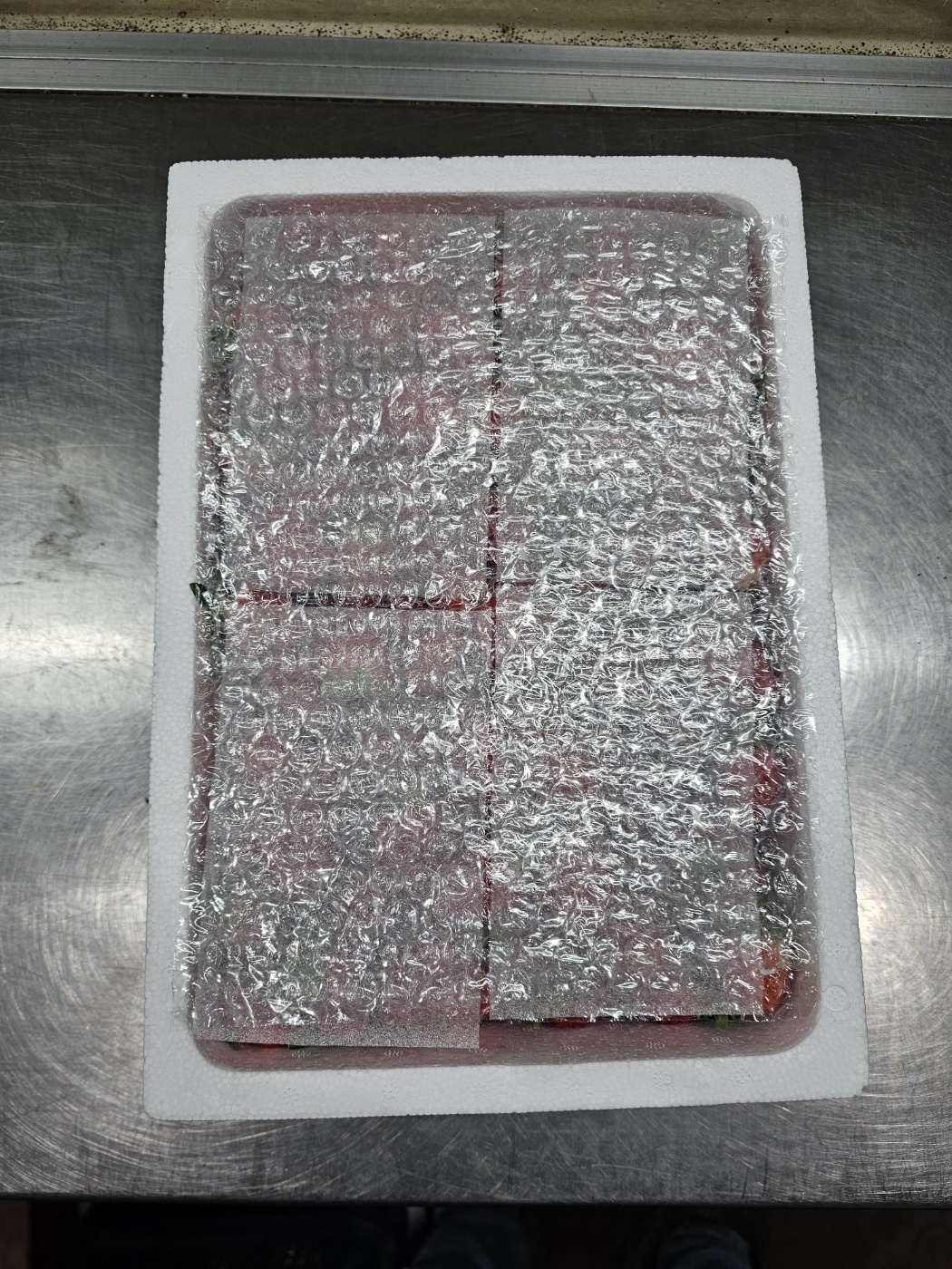 논산 대용량 생딸기 1.8kg 제철 직거래 벌크형 쨈청용 - 상세 이미지 5