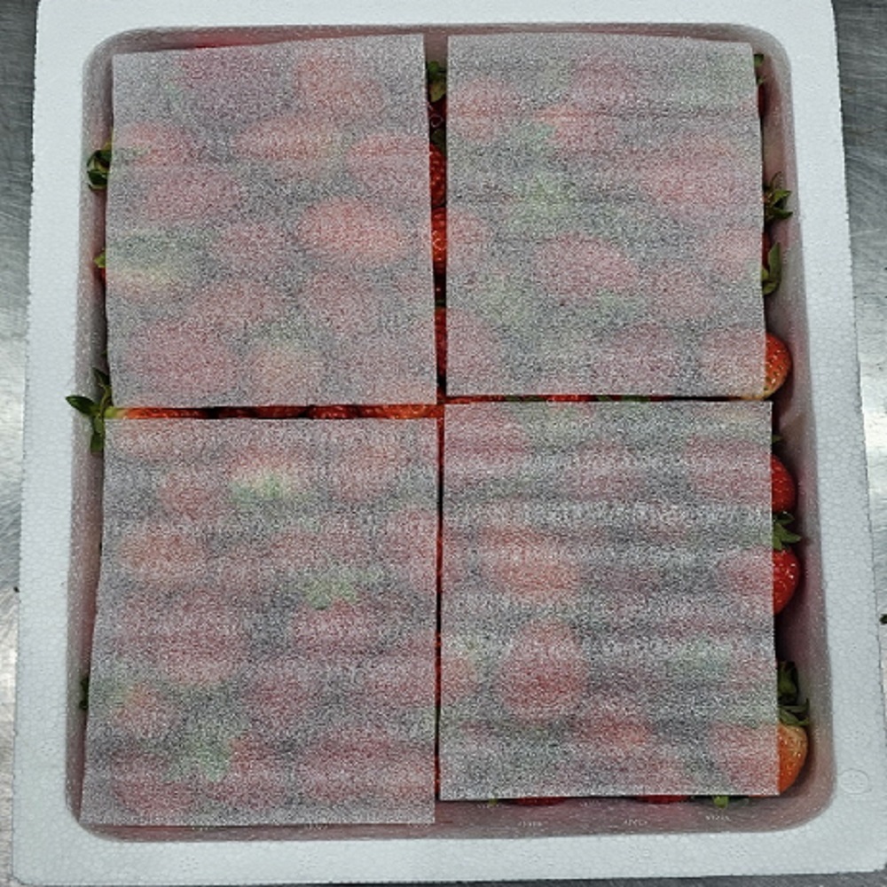 논산 대용량 생딸기 1.8kg 제철 직거래 벌크형 쨈청용 - 상세 이미지 4