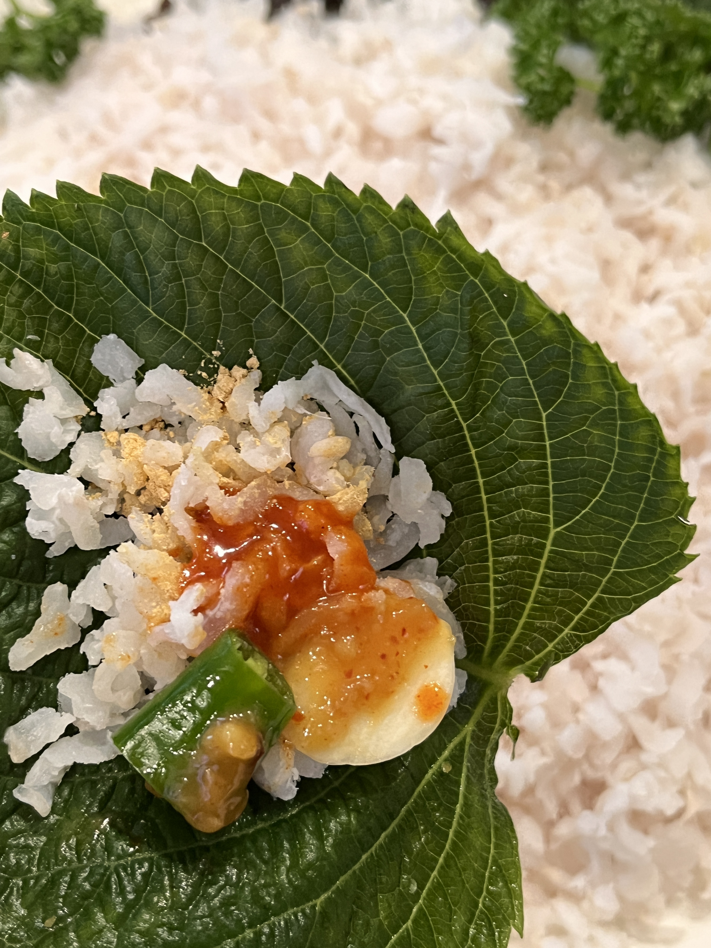 산지직송 자연산 아나고회 붕장어 1kg 칠암식 세꼬시 통영 자연산 - 상세 이미지 2