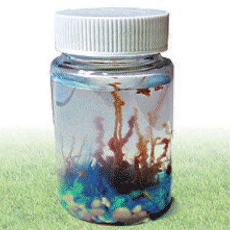 고빅과학 협력사 삼투압 원리 실험 공병 만들기 10인용 과학상자 발달장난감 교습소 체험놀이 실습키트