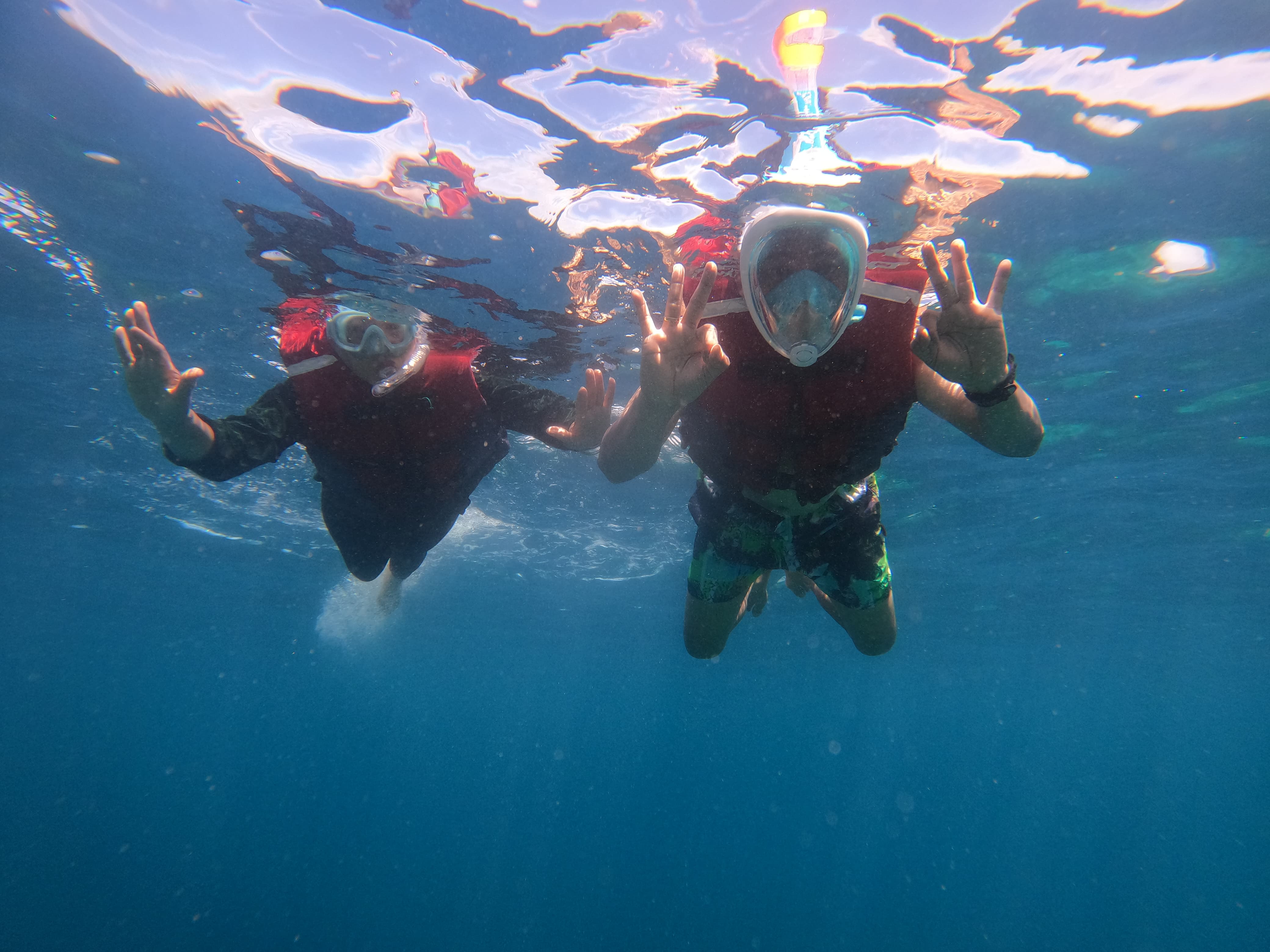 [발리] 멘장안 거북이 스노쿨링 스쿠버다이빙 해양 액티비티 산호 픽업샌딩 북부투어
