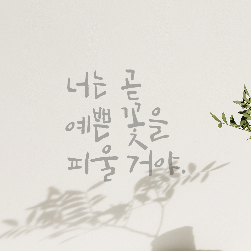 캘리그라피 레터링 스티커 너는 곧 예쁜 꽃을 피울 거야 검정 S - 상세 이미지 3