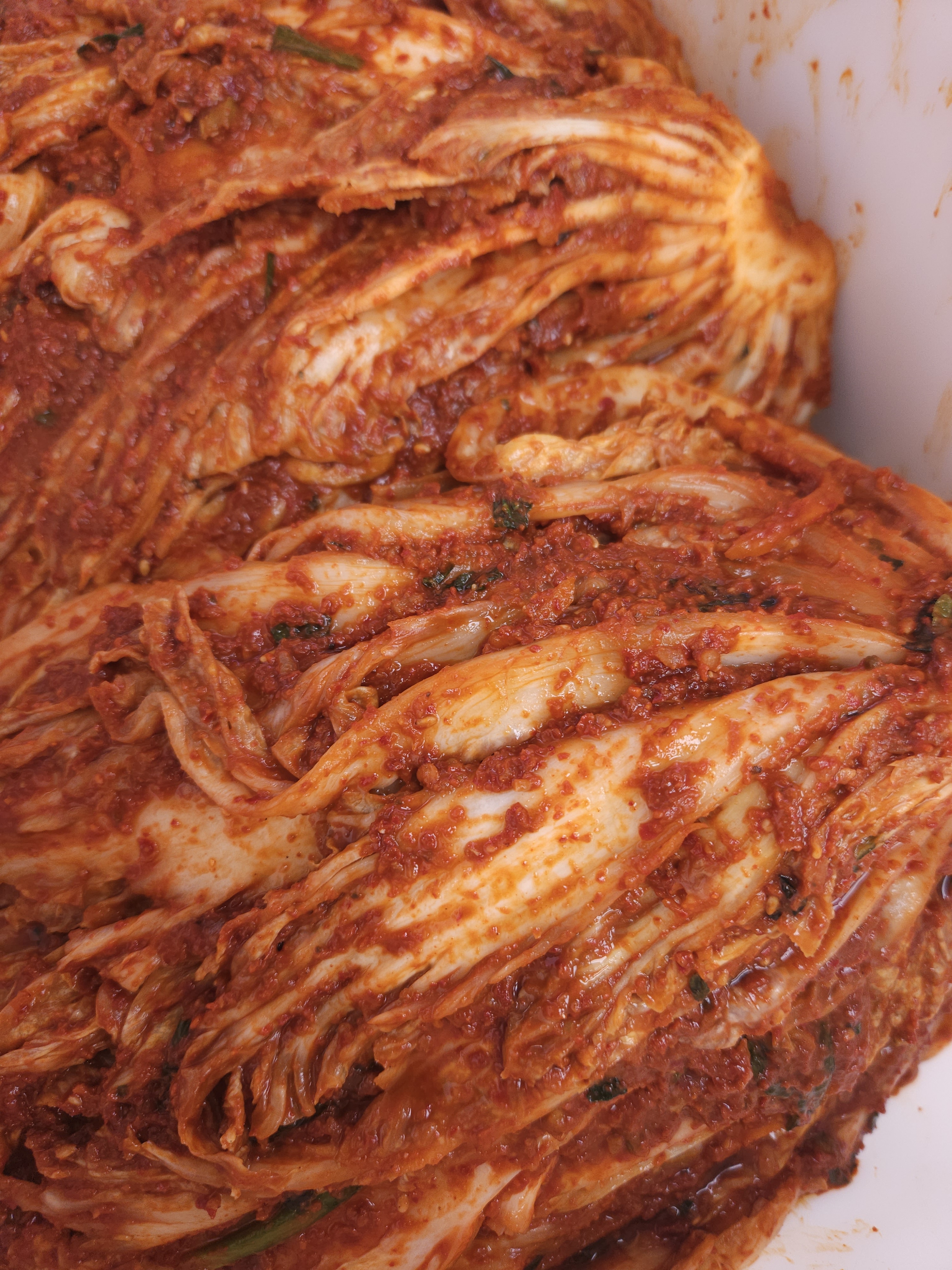맛있어서 줄서요 찐 전라도 배추 포기김치 2kg 광주 가정식 국내산 배추김치 김장주문 - 상세 이미지 3