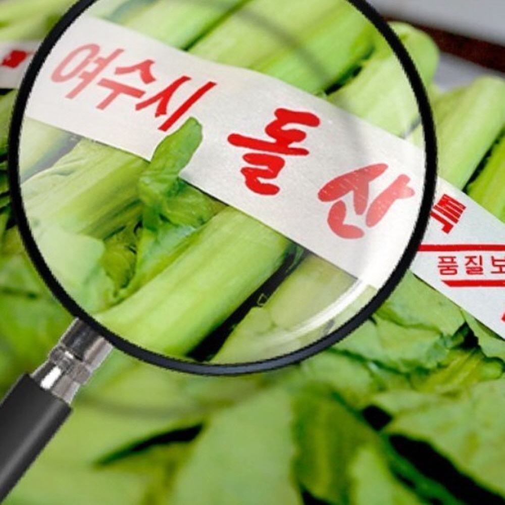 여수 돌산 갓김치 맛집 택배 돌갓김치 2kg - 상세 이미지 5