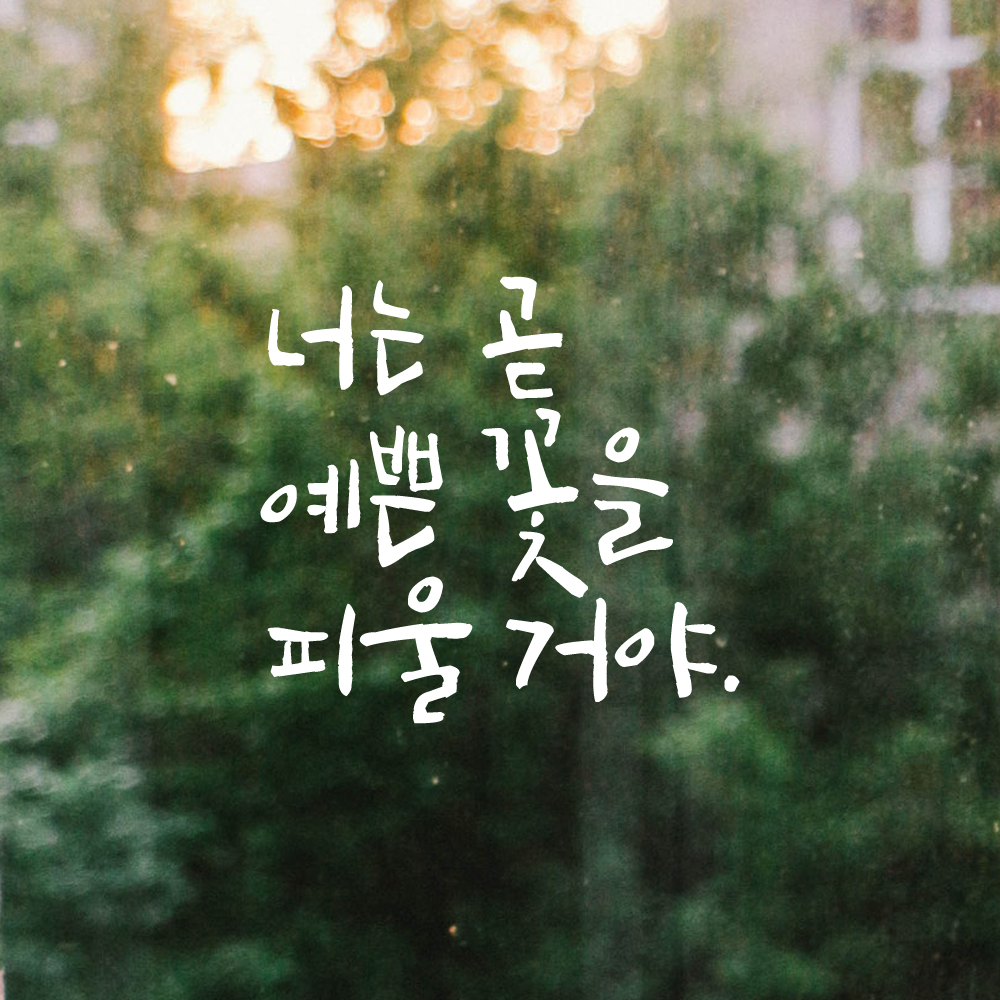 캘리그라피 레터링 스티커 너는 곧 예쁜 꽃을 피울 거야 검정S - 상세 이미지 4