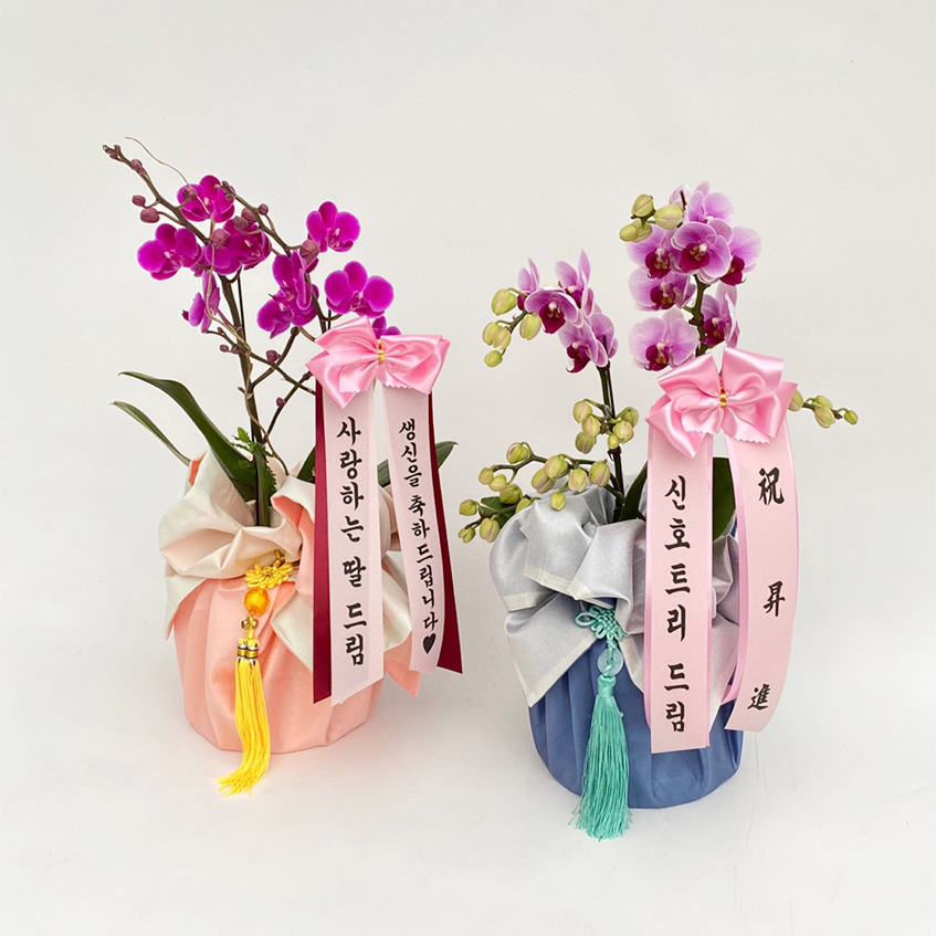 보자기 서양란 호접란 상견례 생일 예단 환갑 생신 어르신 선물 부모님 식당 개업 오픈 명절