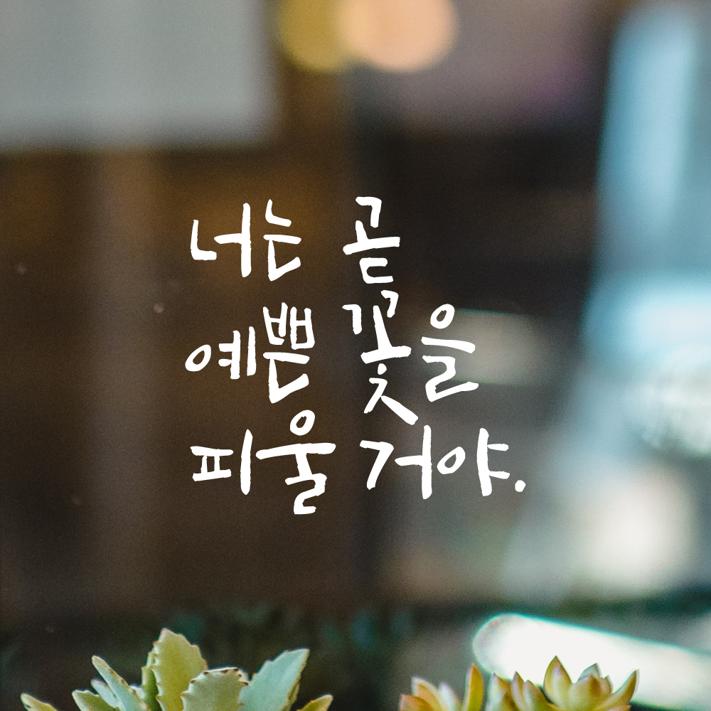 캘리그라피 레터링 스티커 너는 곧 예쁜 꽃을 피울 거야 검정S - 상세 이미지 3