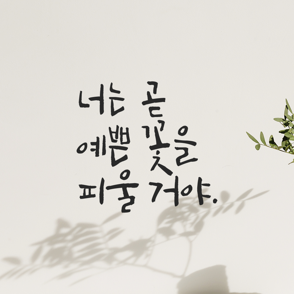 캘리그라피 레터링 스티커 너는 곧 예쁜 꽃을 피울 거야 검정 S - 상품 이미지