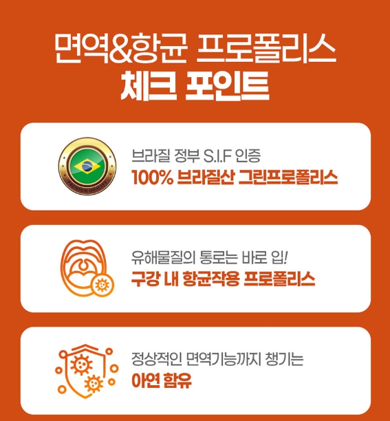 내츄럴플러스 프로폴리스 아연 60정 3개 폴리폴리스 면역 보감 플라보노이드 - 상세 이미지 3