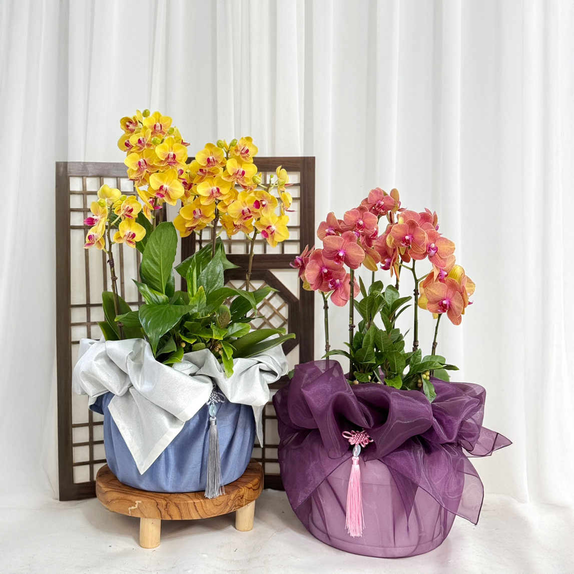 보자기 서양란 호접란 상견례 생일 예단 환갑 생신 어르신 선물 부모님 식당 개업 오픈 명절