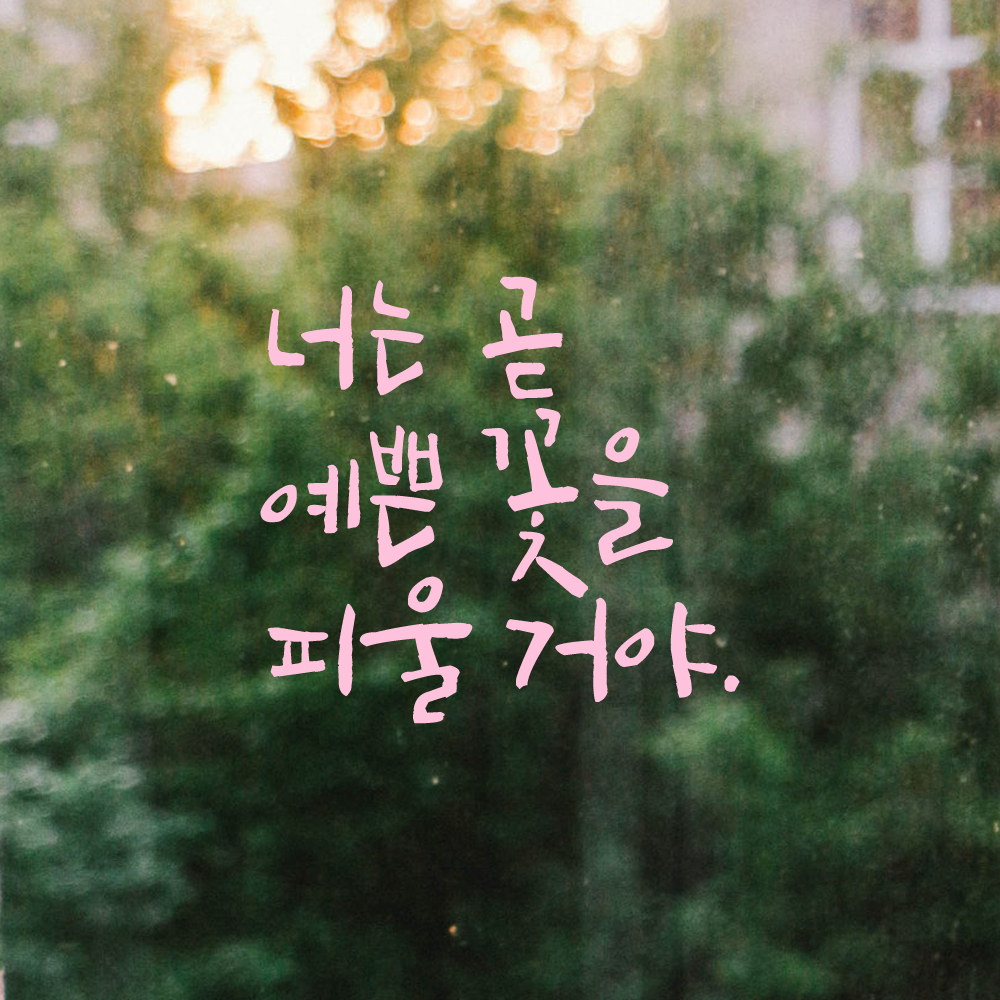캘리그라피 레터링 스티커 너는 곧 예쁜 꽃을 피울 거야 검정S 이미지 6