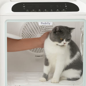 [저소음/음이온] 라빌리 펫드라이룸 강아지 고양이 드라이기 반려동물 털 ... 솔직 후기 | 실제 사용자 리뷰 총정리 - 상품 이미지 3