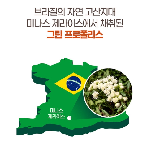 내츄럴플러스 프로폴리스 아연 60정 3개 폴리폴리스 면역 보감 플라보노이드 이미지 7