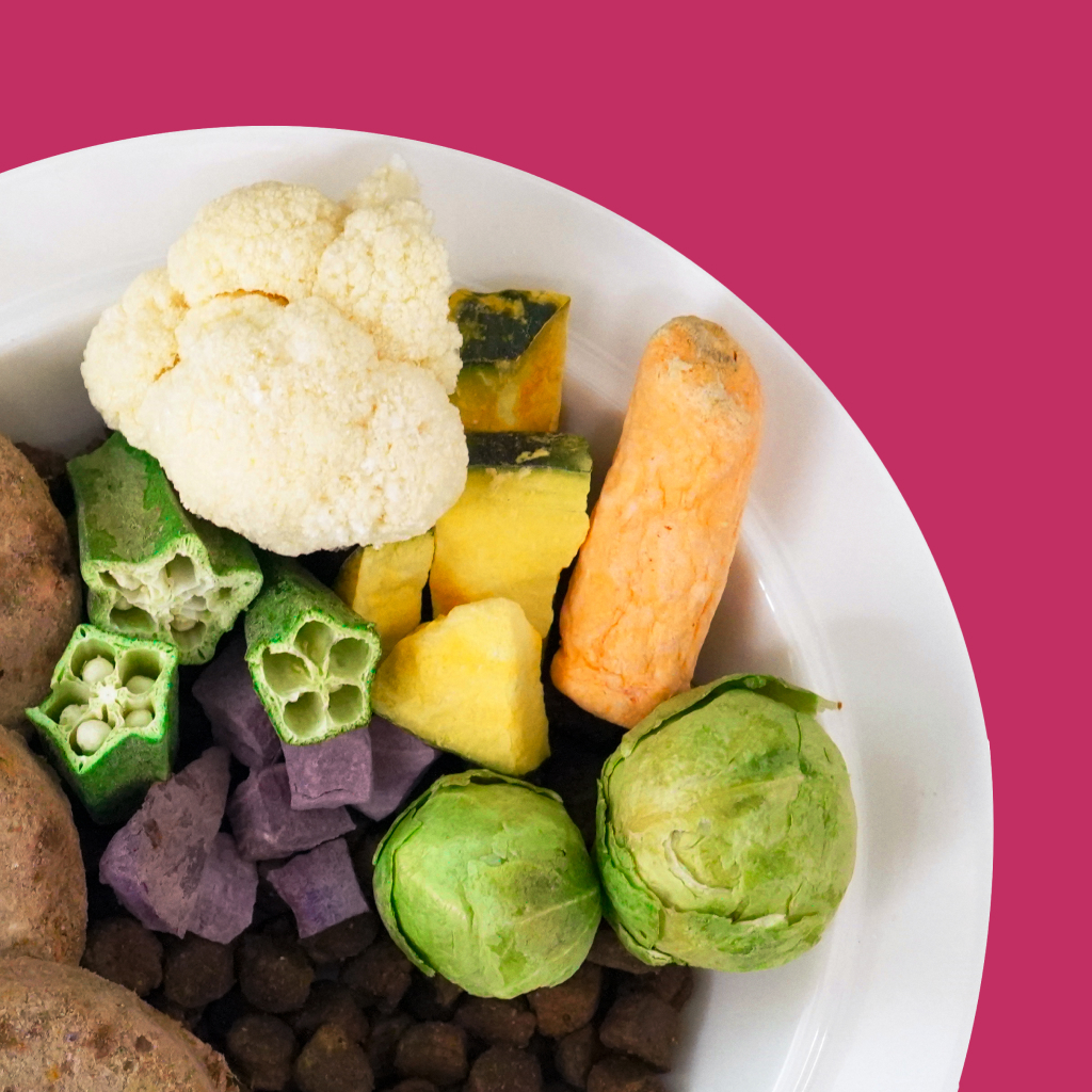 트러스티푸드 동결건조 야채간식 채소믹스 50g 강아지 저지방 저칼로리 저알러지 다이어트