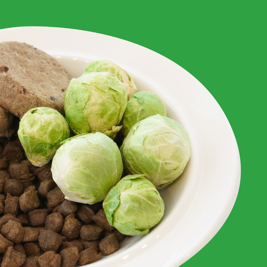 트러스티푸드 동결건조 야채간식 방울양배추 40g 강아지 위건강 저지방 저알러지 혈당조절