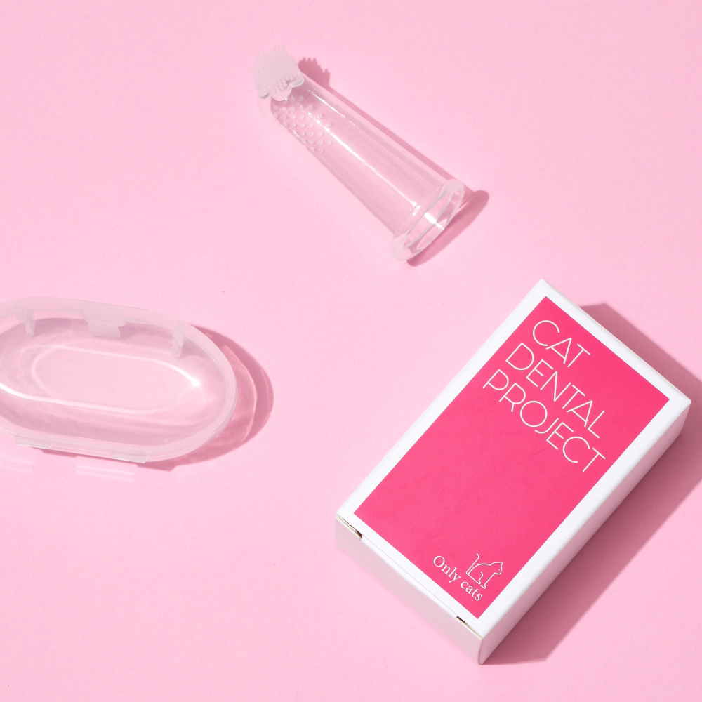 캣디피 플라워 핑거칫솔 고양이 손가락 칫솔 CATDP 반려묘 아기고양이 양치 이미지 3
